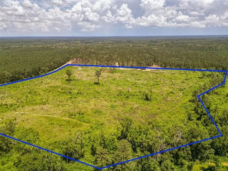 Land for Sale in Amite County, MS : Liberty : Amite County : Mississippi