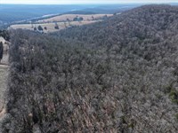 80 Wooded Acres in Ozark County : Gainesville : Ozark County : Missouri