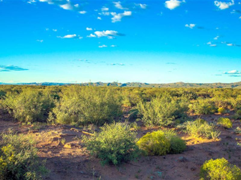 Nature's Airbnb Awaits You : Van Horn : Culberson County : Texas