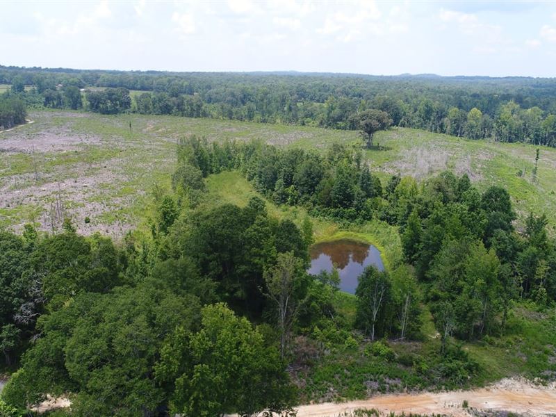 353 Acres Crenshaw Co : Highland Home : Crenshaw County : Alabama