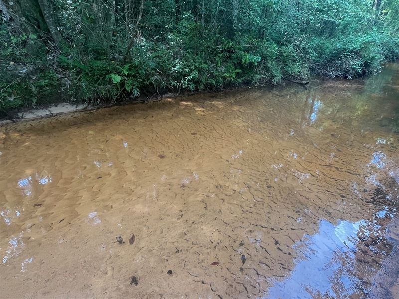 87 Ac Parker Creek Rd : Brantley : Crenshaw County : Alabama