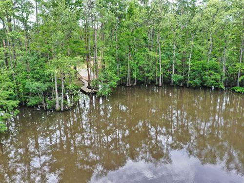 Tickfaw River Homesite And Cove : Killian : Livingston Parish : Louisiana