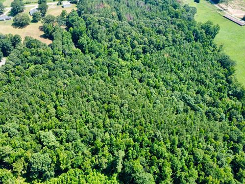 14 Acres in Ranburne Town Limit : Ranburne : Cleburne County : Alabama