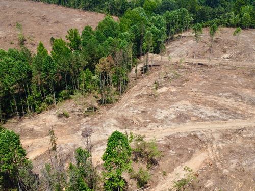 27 Acres With Homesites And Cre : Ranburne : Cleburne County : Alabama