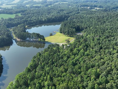 222 Acres & 20 Acre of Lakes : Altoona : Etowah County : Alabama