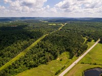 34.5 Acres Blount County, Alaba : Oneonta : Blount County : Alabama