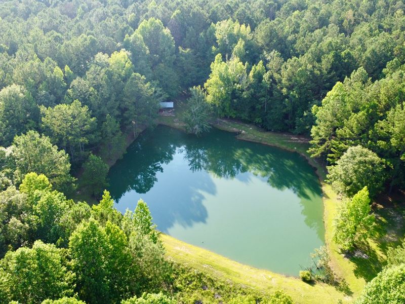 40 Ac with Homesites, Pond : Roanoke : Chambers County : Alabama