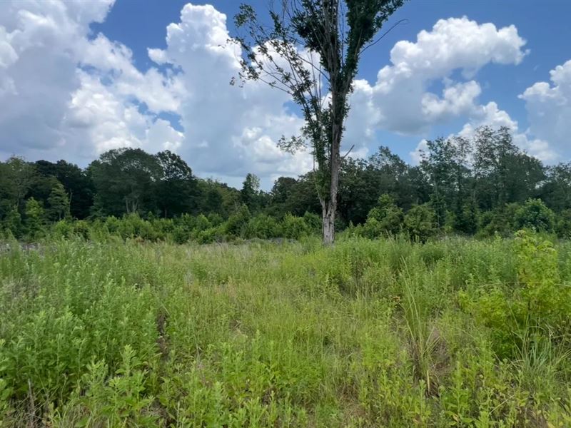 Vacant Land for Sale Ruston, Lousia : Ruston : Lincoln Parish : Louisiana
