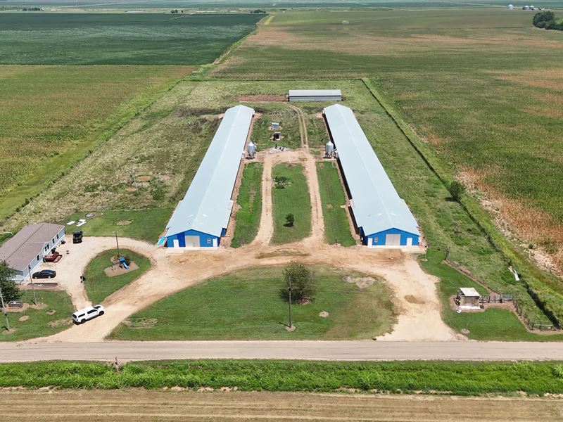 2 House Breeder Farm in Southwest : Bradley : Lafayette County : Arkansas