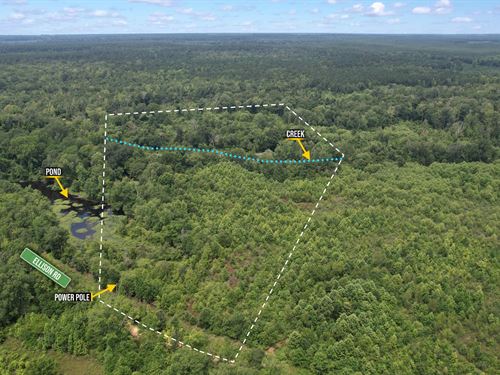 20.77 Acres in Cleveland County, AR : Rison : Cleveland County : Arkansas