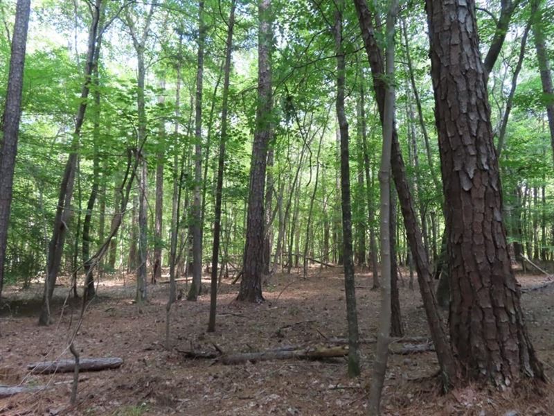 6 Ac, 2 Parcels Combined : Ridgeway : Fairfield County : South Carolina