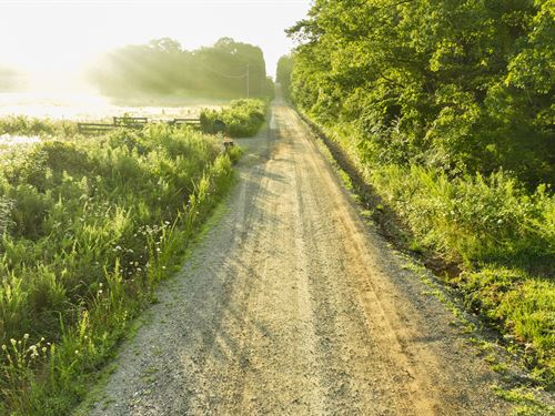 Timber Ridge : Willow Springs : Howell County : Missouri