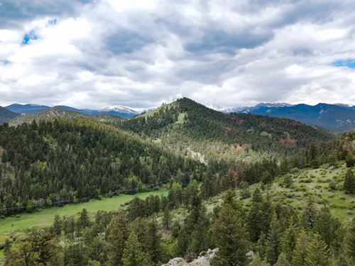 Upper Bear Headwaters Ranch : Evergreen : Clear Creek County : Colorado