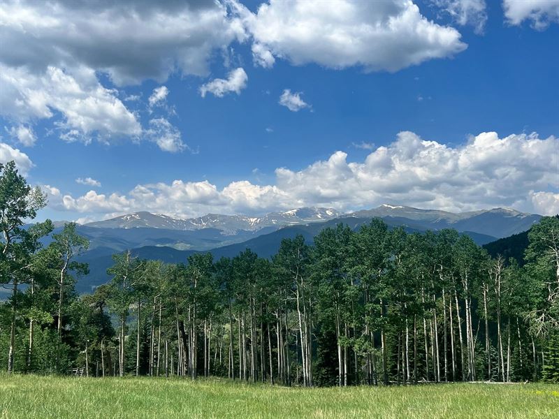 Evans Ridge Ranch : Evergreen : Clear Creek County : Colorado