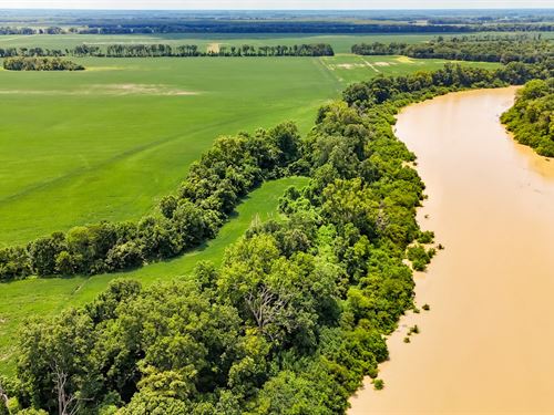 Delta Row Crop & Hunting Paradise : Anguilla : Sharkey County : Mississippi