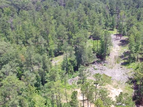 40 Acres of Shelby County Land : Vincent : Shelby County : Alabama