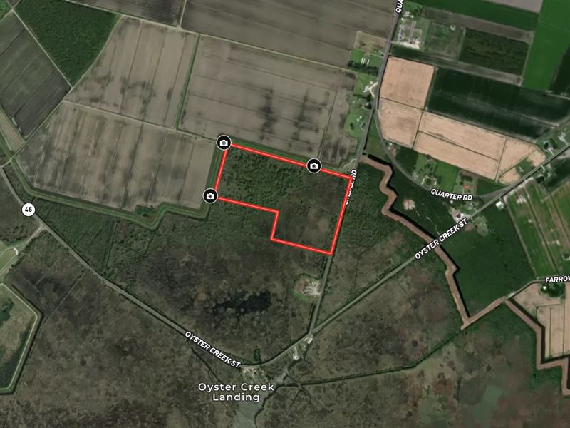 Affordable Hunting Land, Hyde Co : Swanquarter : Hyde County : North Carolina