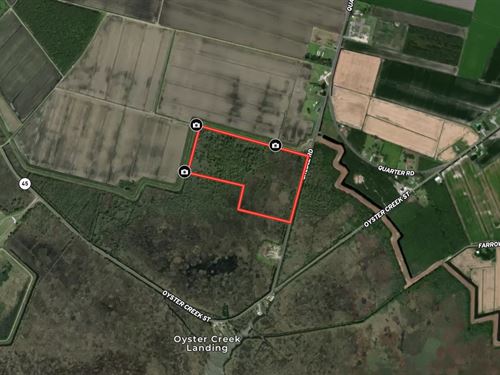 Affordable Hunting Land, Hyde Co : Swanquarter : Hyde County : North Carolina