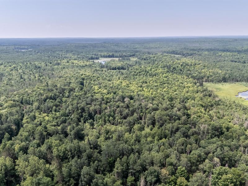 Iron Co Acreage : Carey : Iron County : Wisconsin