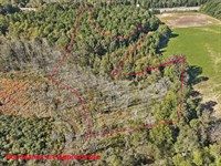 Secluded & Private Future Homesite : Pittsboro : Chatham County : North Carolina