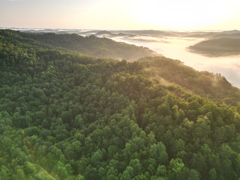 Bull Creek Gas, Oil and Coal 4355 : Cornettsville : Perry County : Kentucky