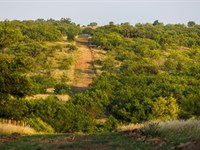 Wolf Hollow Ranch : Cross Plains : Callahan County : Texas