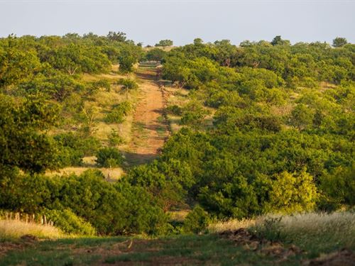 Wolf Hollow Ranch : Cross Plains : Callahan County : Texas