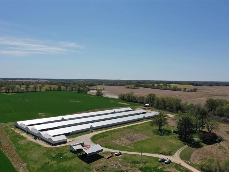 Ahmed Breeder Farm : Kenton : Gibson County : Tennessee