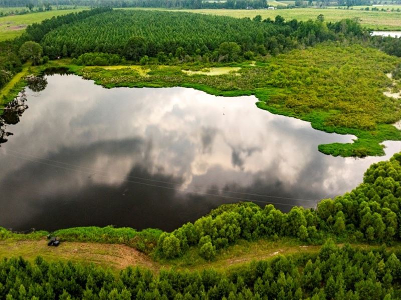 Canoochee Pond : Cobbtown : Candler County : Georgia