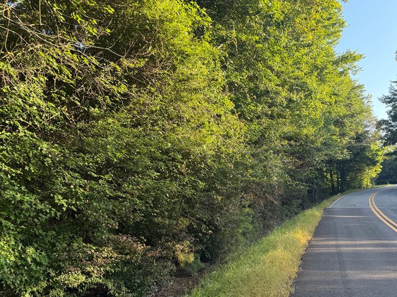 23 Acres Warrior Valley Rd : Walnut Grove : Etowah County : Alabama