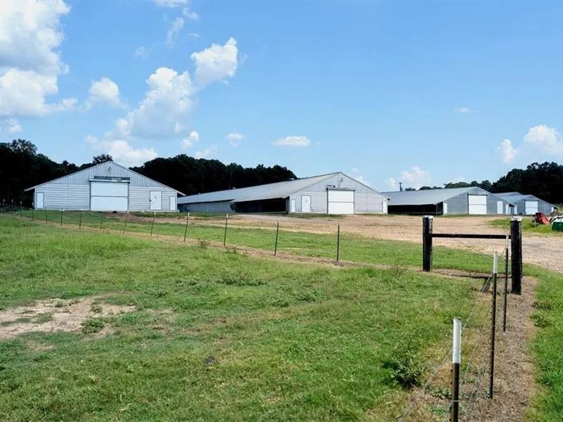 Upgraded Poultry Farm in Lena, MS : Lena : Leake County : Mississippi