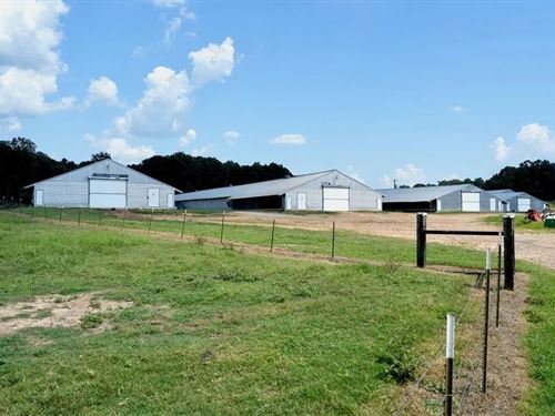 Upgraded Poultry Farm in Lena, MS : Lena : Leake County : Mississippi