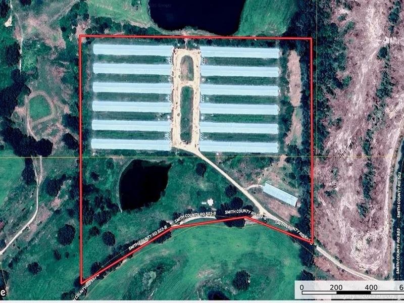 12 House Poultry Farm for Sale : Magee : Smith County : Mississippi