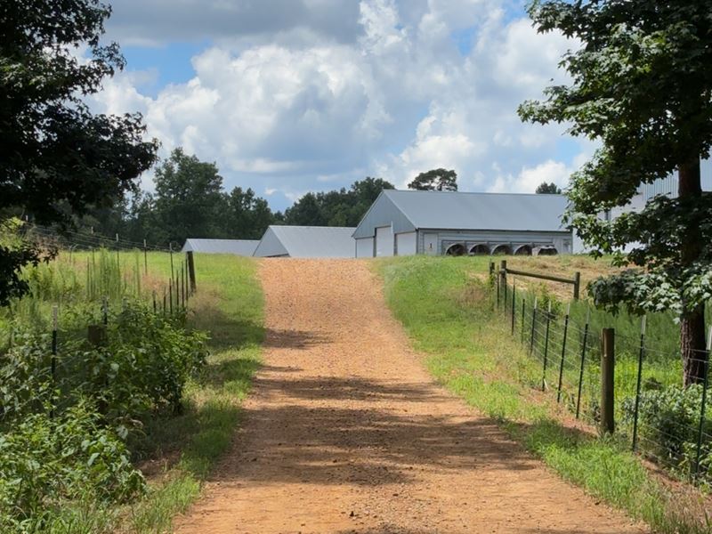 Immaculate 4 House Breeder Farm : Kosciusko : Leake County : Mississippi