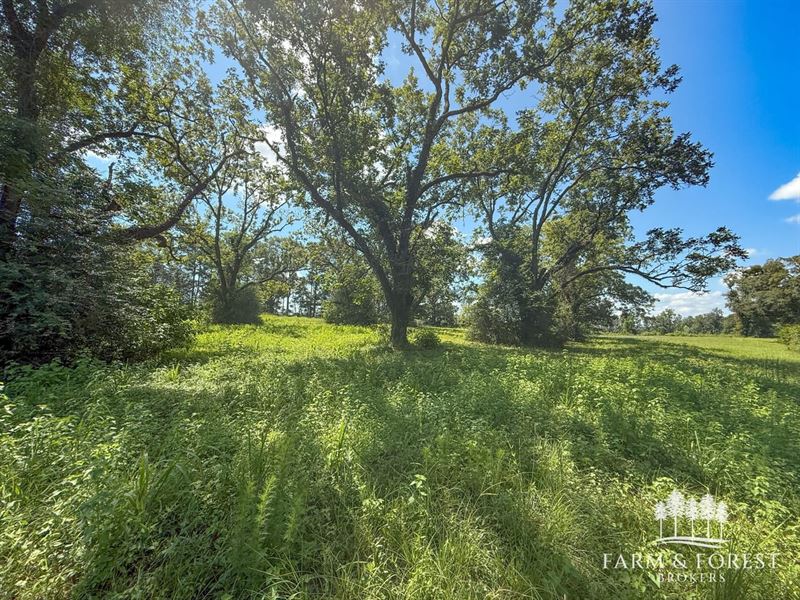 17 Ac, 87 Northeast, Coffee Co : Jack : Coffee County : Alabama