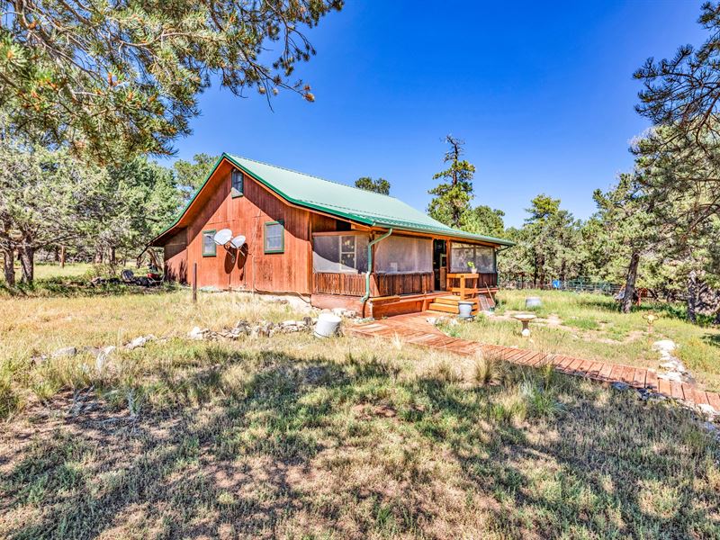 Elkhorn Mountain 80 : Cotopaxi : Fremont County : Colorado