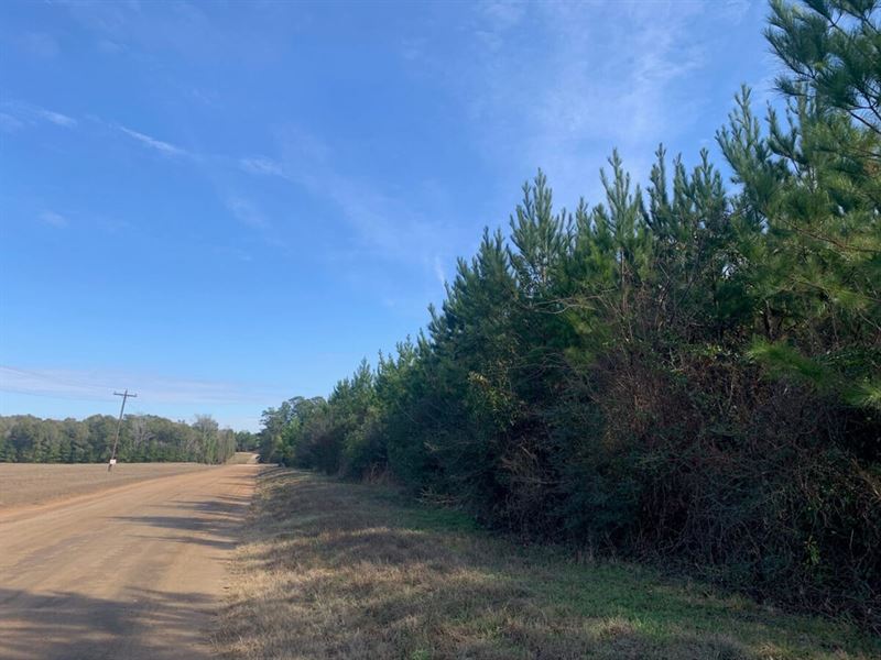 42 Acres, T-1, Nursery Road : Indian Springs : Polk County : Texas