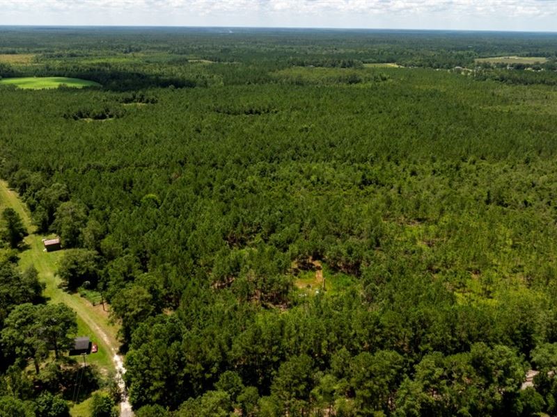 Pembroke Development : Pembroke : Bryan County : Georgia