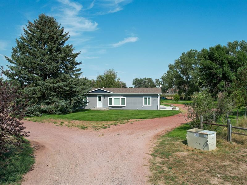 Afdahl Horse Property : Torrington : Goshen County : Wyoming