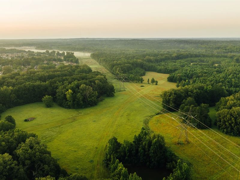 234 Acres in Hinds County, MS : Clinton : Hinds County : Mississippi