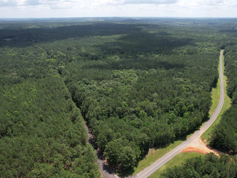 137 Acres in Attala County, MS : Ethel : Attala County : Mississippi