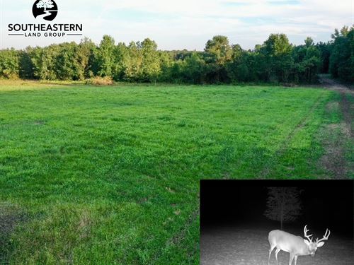58 Acres Lagrange Road : Leighton : Colbert County : Alabama