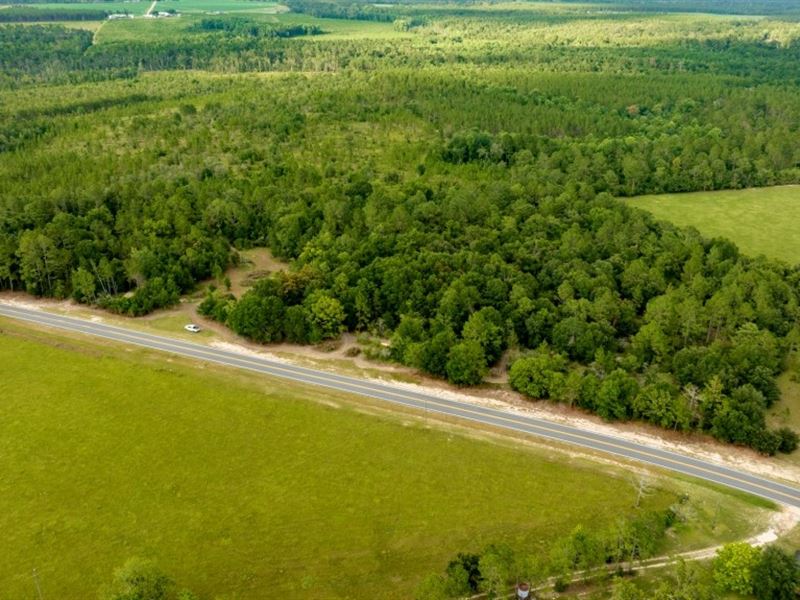 Telfair County Homesite : Jacksonville : Telfair County : Georgia