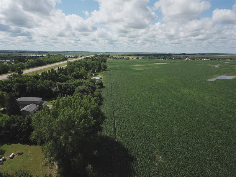 212 Acres, Brown County, South : Aberdeen : Brown County : South Dakota