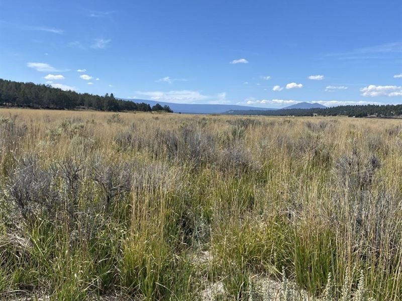 Escape to Nature : Sprague River : Klamath County : Oregon