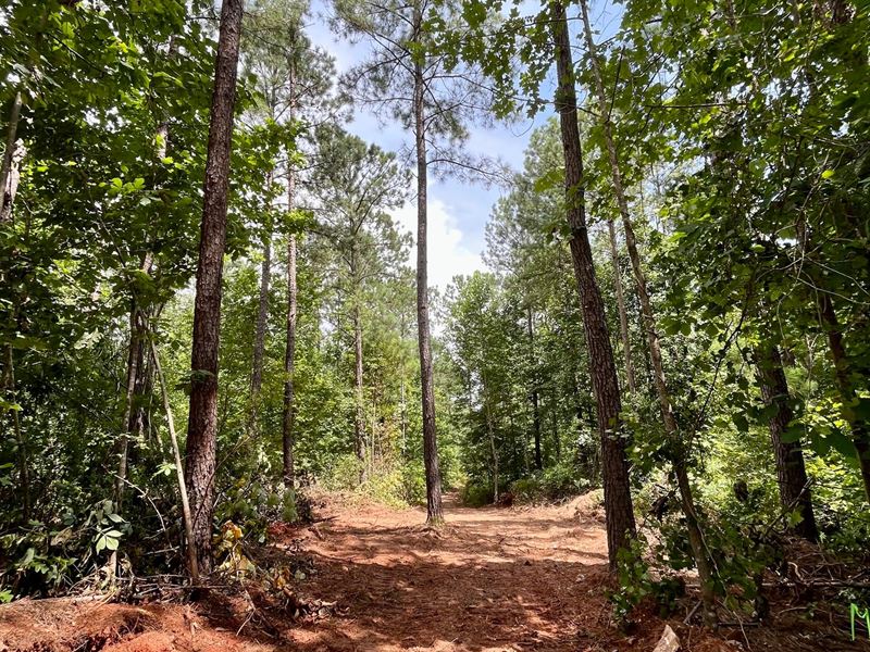 Rollin Mill Farm Tract 6, 18 Acres : Franklin : Heard County : Georgia