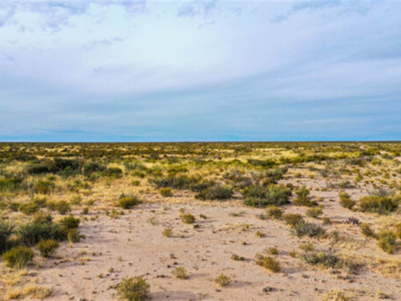 Sun, Stars & 20 Acres : Sierra Blanca : Hudspeth County : Texas