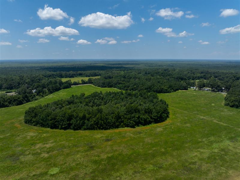 Interstate 65 Stockton Bay Minette : Bay Minette : Baldwin County : Alabama