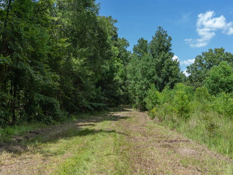 Lapine 216 Multi Use Recreational : West Monroe : Ouachita Parish : Louisiana