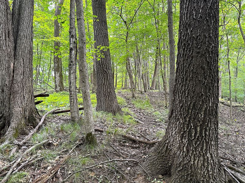 Sleepy Hollow Escape : Gays Mills : Crawford County : Wisconsin